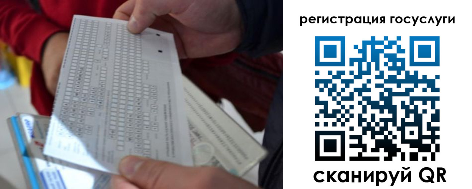 прописка гарантия в Дмитрове